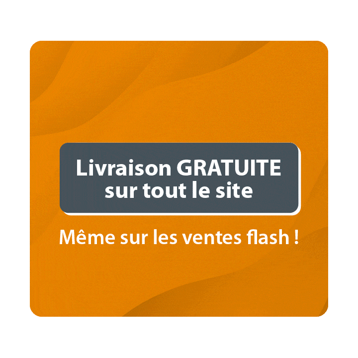 THERMOROSSI Ventilateur extracteur des fumées pour poêle granulé