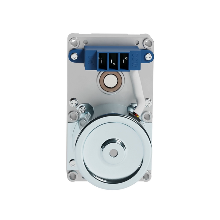 Motoréducteur moteur de vis sans fin poêle à granulé pellet 2RPM
