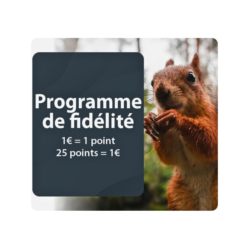 QLIMA Bougie d'allumage d'origine F.E.O pour poêles à granulés
