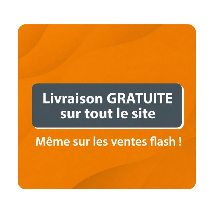INVICTA Bougie d'allumage compatible pour poêle à granulé