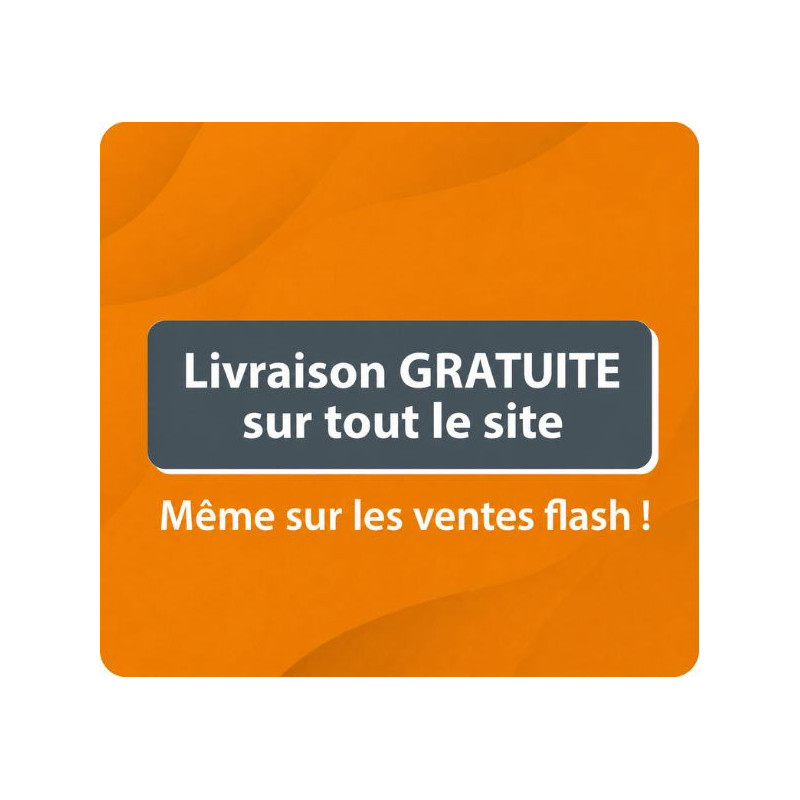 PALAZZETTI Bougie d'allumage pour poêle à granulé